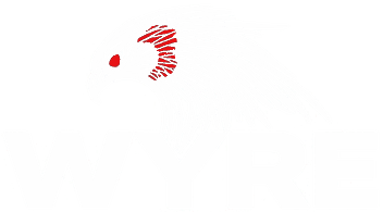 Wyre News